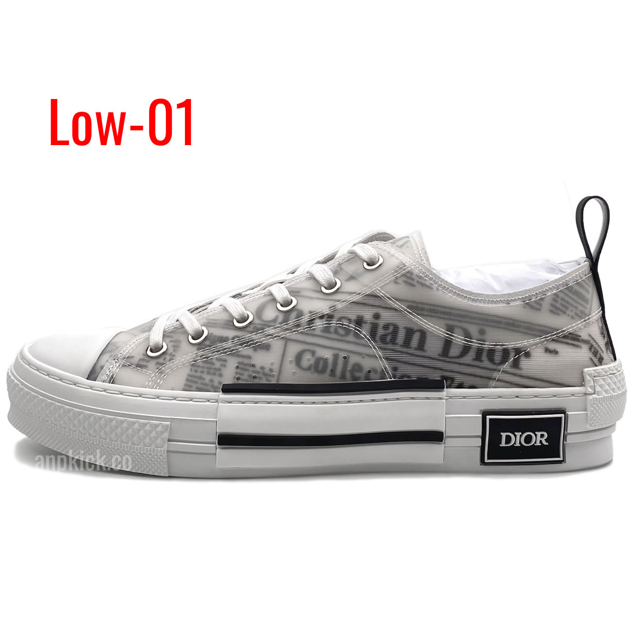 Dior B23 Low Shoes (1) - newkick.org