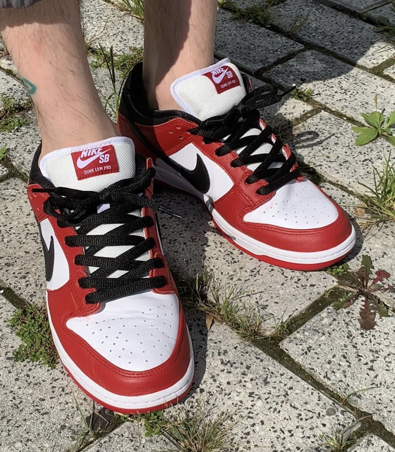 Nike Sb Dunk Low Pro Chicago Varsity Red Release Date On Feet Bq6817 600 (7) - newkick.org