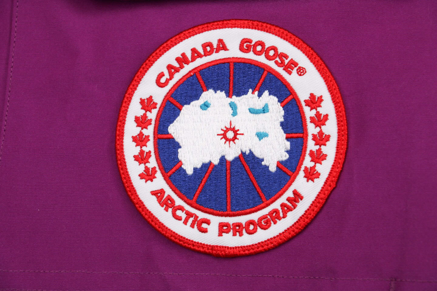 08 Canada Goose 19fw Expedition 4660ma Down Jacket Coat Purple (5) - newkick.org