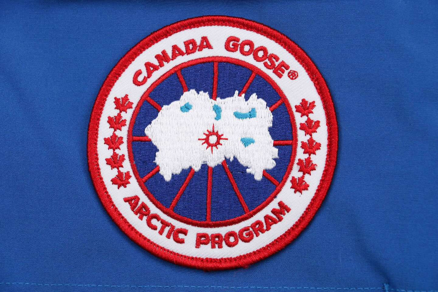 08 Canada Goose 19fw Expedition 4660ma Down Jacket Coat Sky Blue (6) - newkick.org