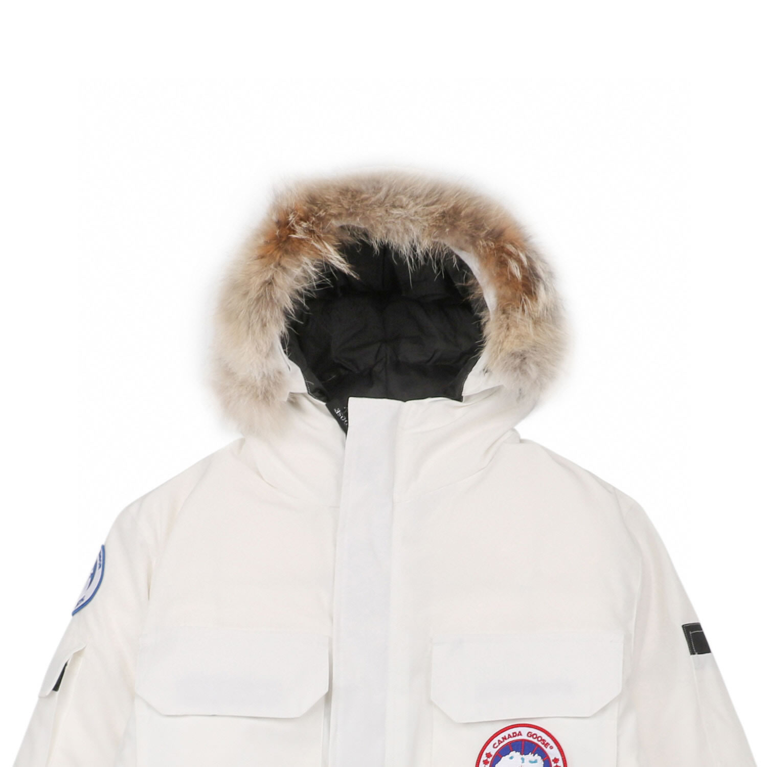 08 Canada Goose 19fw Expedition 4660ma Down Jacket Coat White (5) - newkick.org