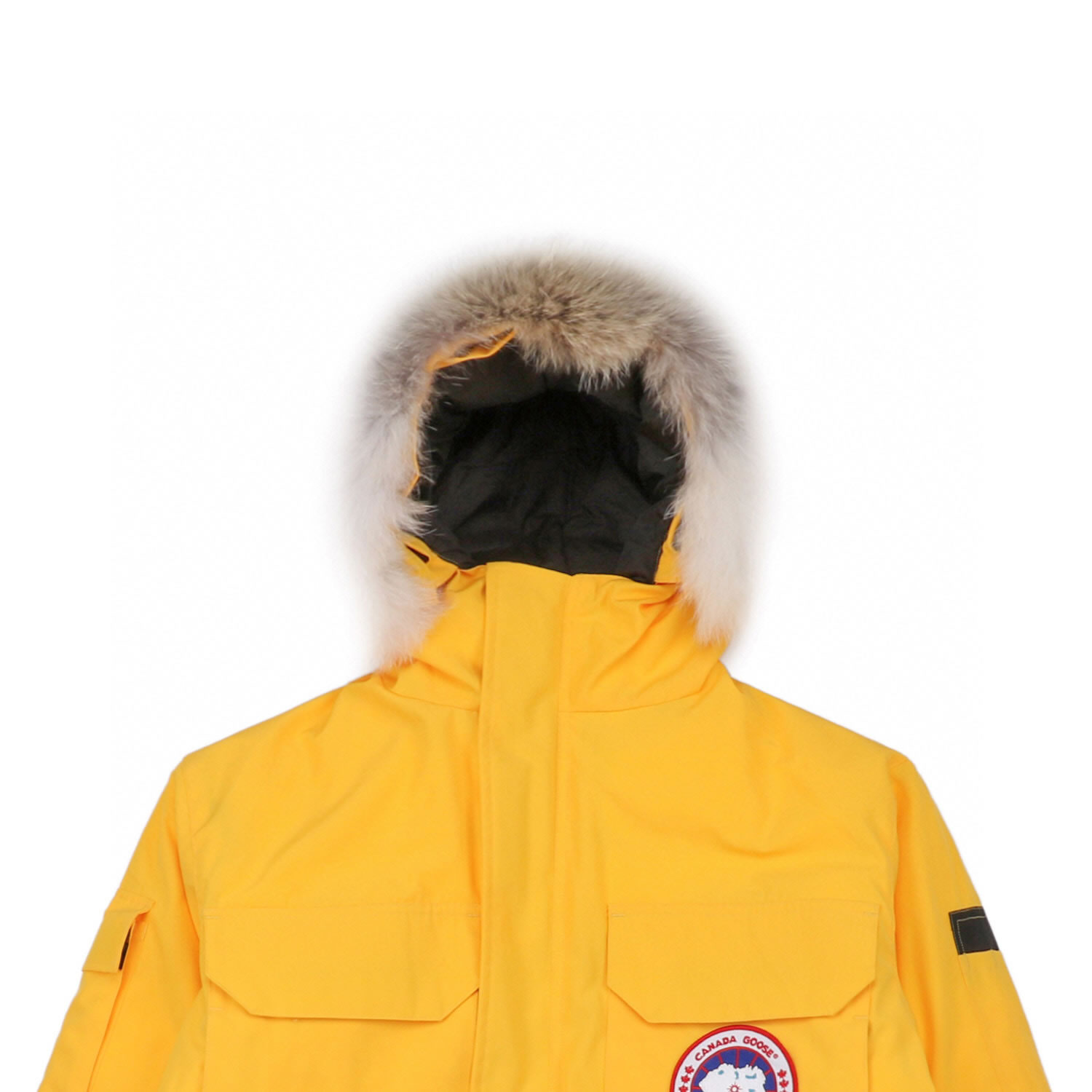 08 Canada Goose 19fw Expedition 4660ma Down Jacket Coat Yellow (4) - newkick.org