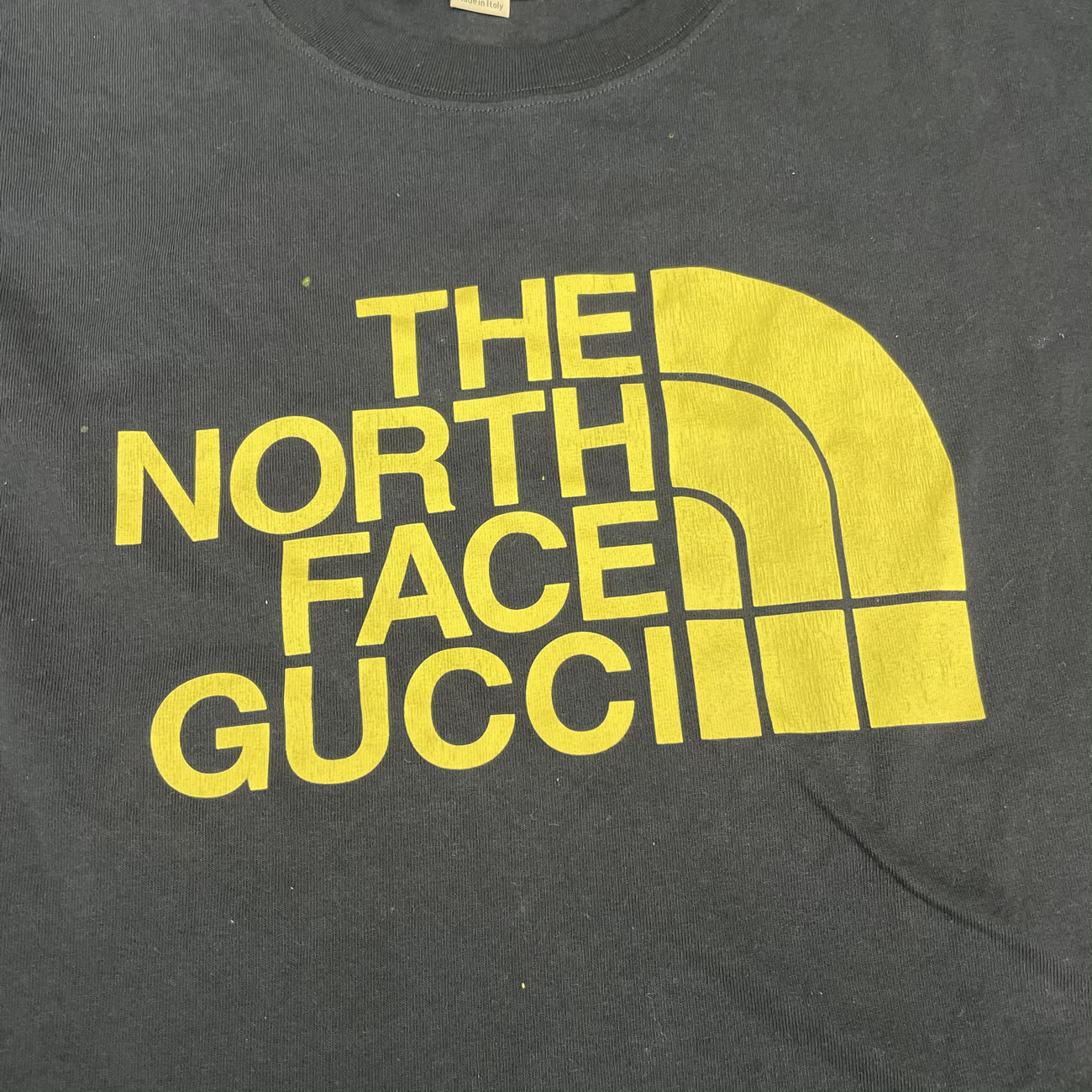 Thenorthfacegucci T Shirt (4) - newkick.org