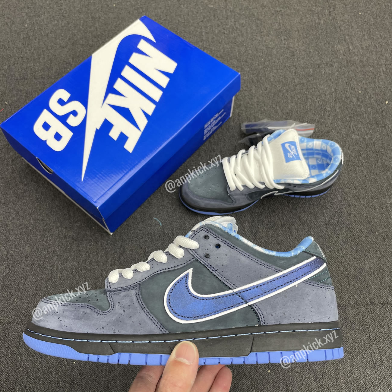 Anpkick Nike Sb Dunk Low Concepts Bluelobster 313170 342 (2) - newkick.org