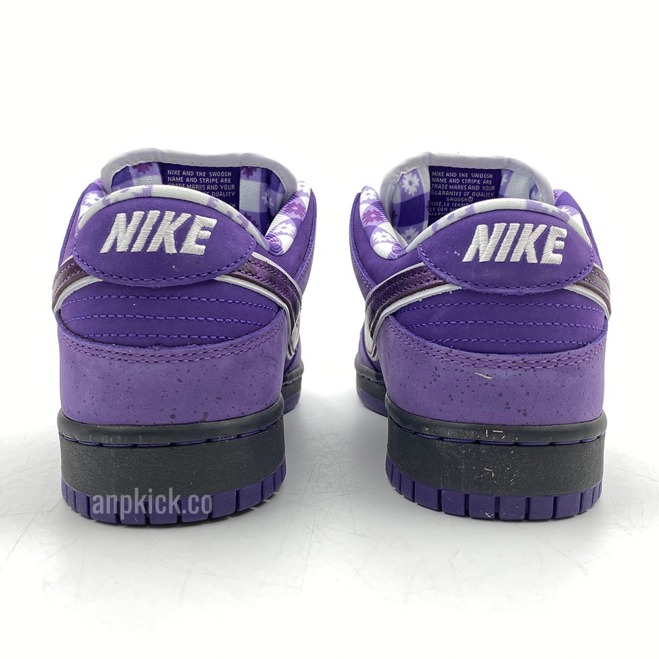 Anpkick Nike Sb Dunk Low Concepts Purple Lobster Bv1310 55570 (5) - newkick.org