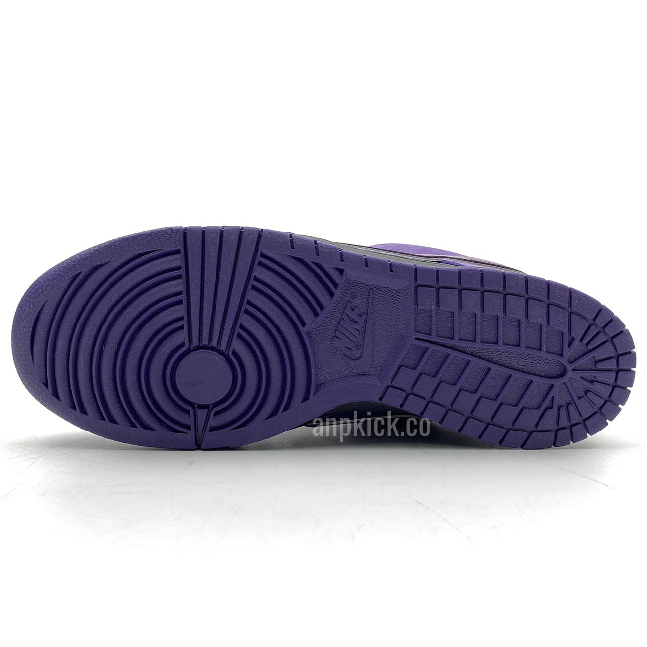 Anpkick Nike Sb Dunk Low Concepts Purple Lobster Bv1310 55570 (6) - newkick.org