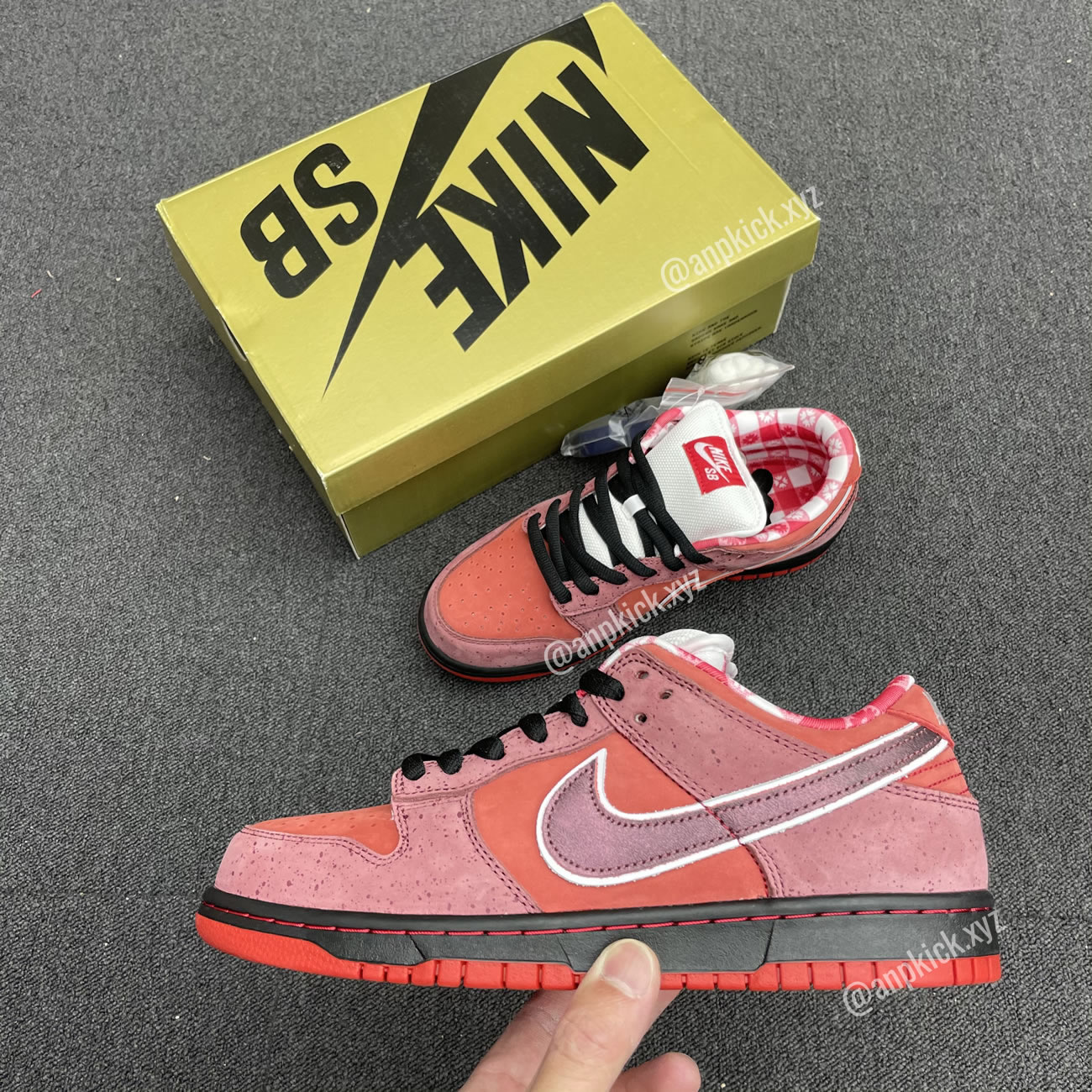 Anpkick Nike Sb Dunk Low Concepts Red Lobster 313170 661 (2) - newkick.org