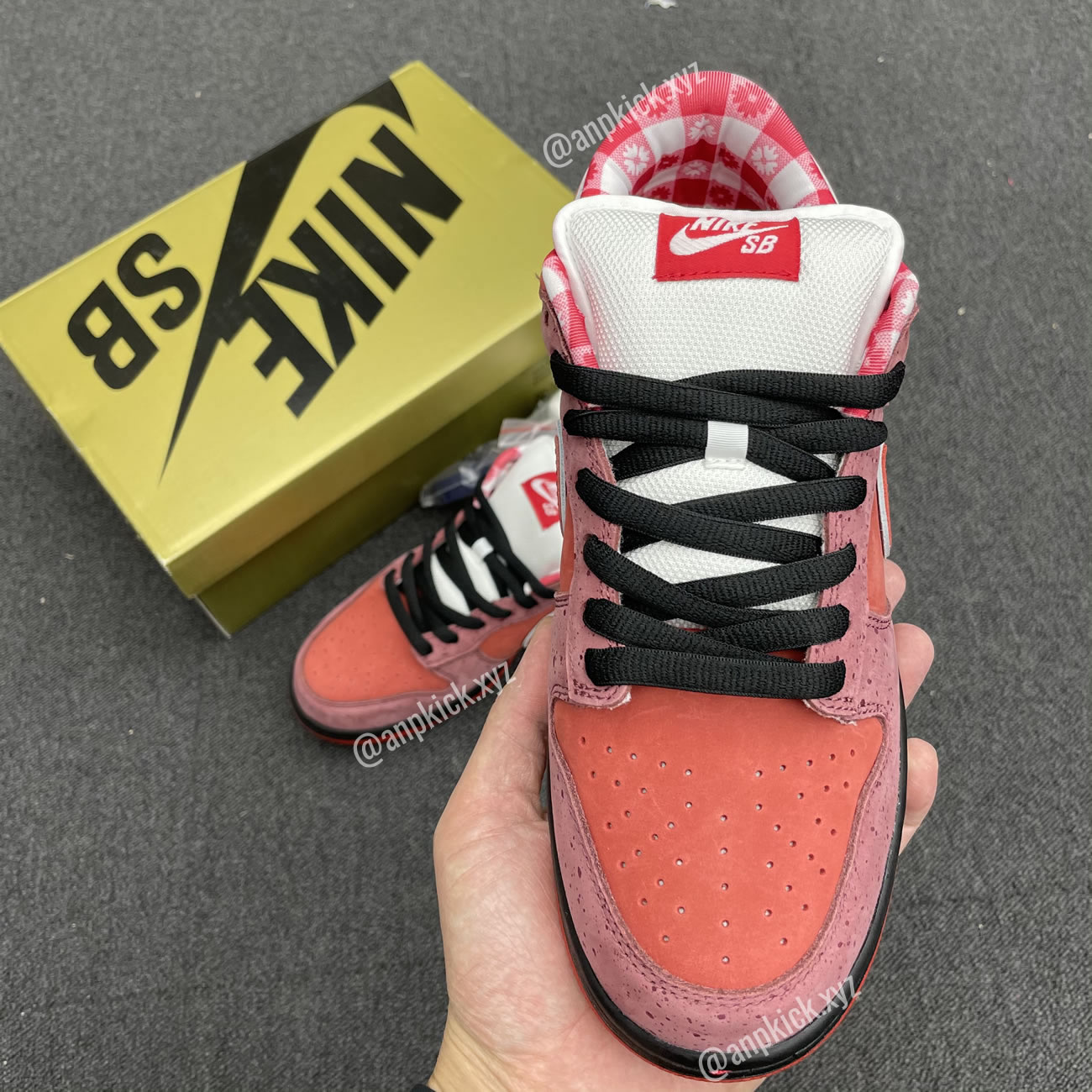 Anpkick Nike Sb Dunk Low Concepts Red Lobster 313170 661 (5) - newkick.org