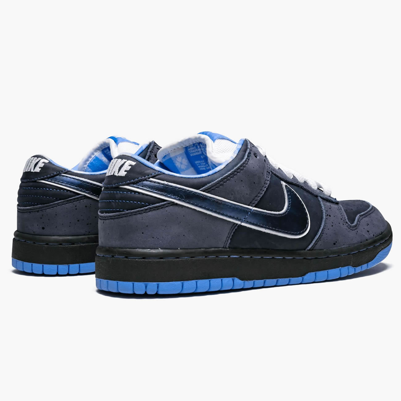 Nike Sb Dunk Low Concepts Bluelobster 313170 342 (3) - newkick.org