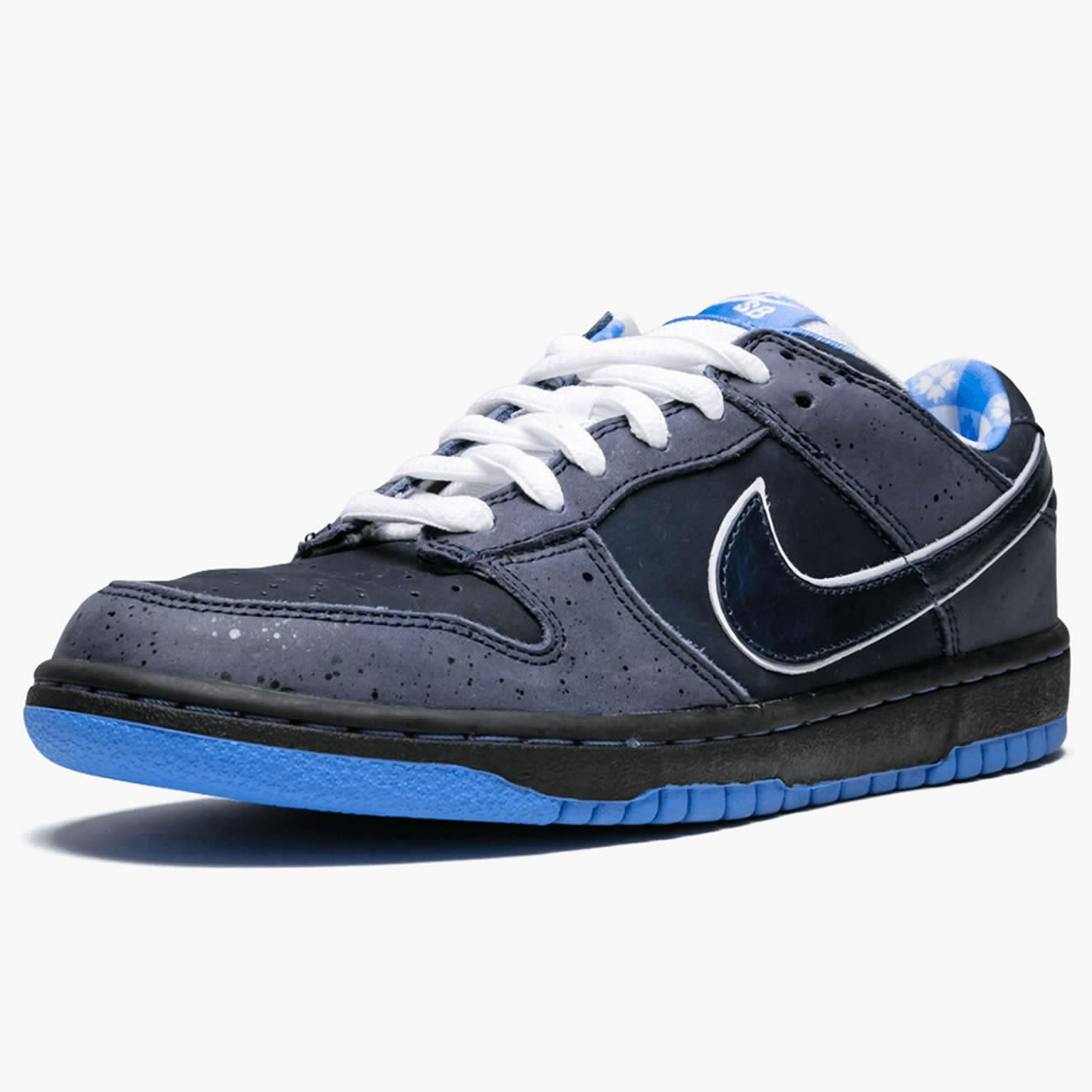 Nike Sb Dunk Low Concepts Bluelobster 313170 342 (4) - newkick.org