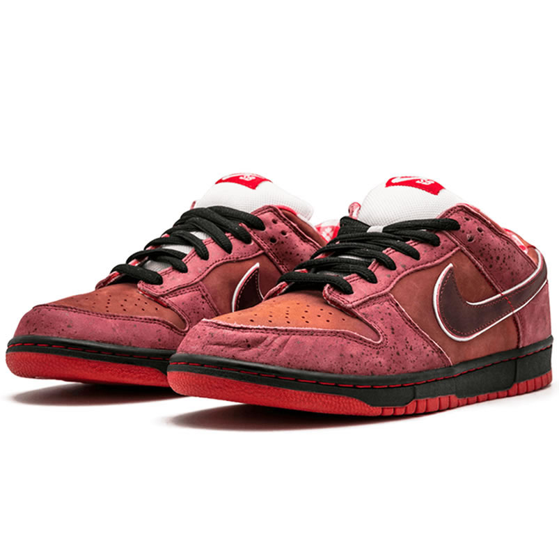 Nike Sb Dunk Low Concepts Red Lobster 313170 661 (2) - newkick.org