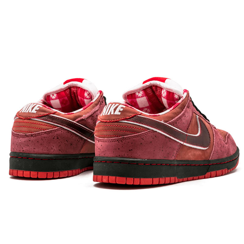 Nike Sb Dunk Low Concepts Red Lobster 313170 661 (3) - newkick.org