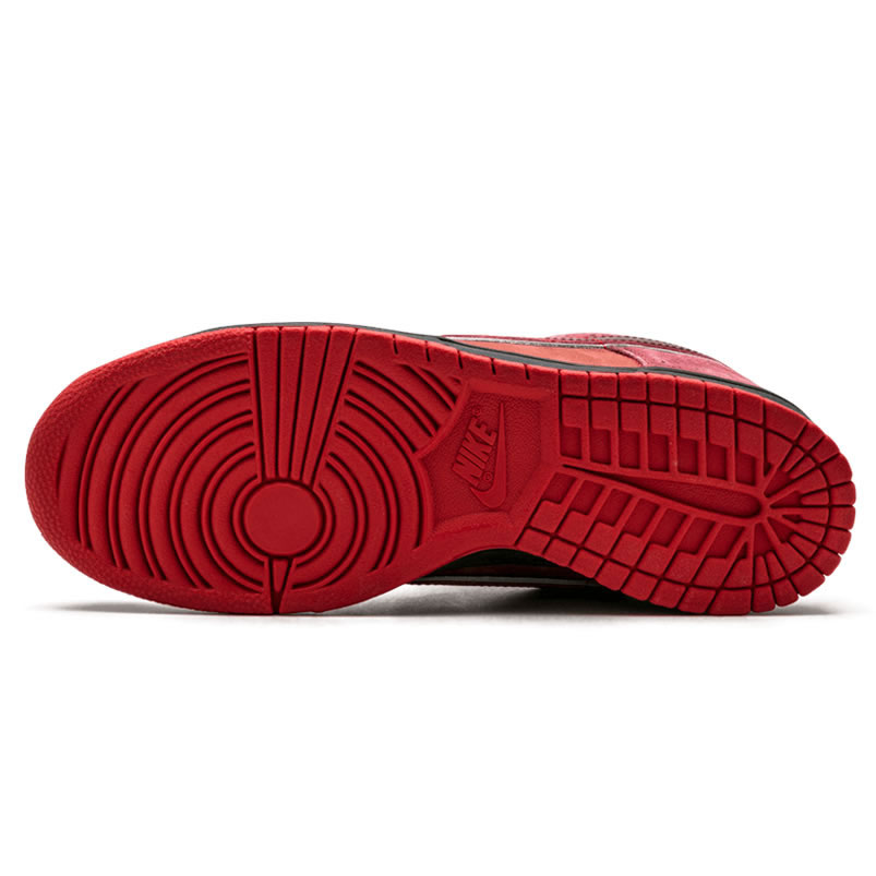 Nike Sb Dunk Low Concepts Red Lobster 313170 661 (4) - newkick.org