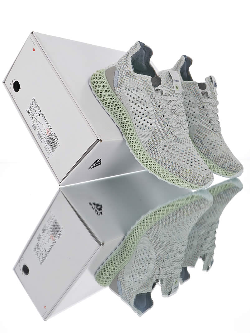 Adidas Consortium Futurecraft 4d Invincible Prism Primeknit Shoes B96613 (14) - newkick.org