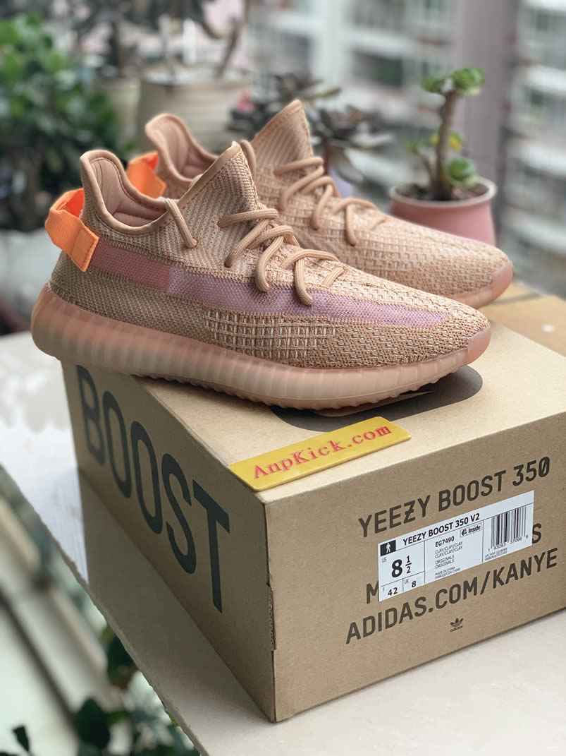 Adidas Yeezy Boost 350 V2 Clay 2019 For Sale Anpkick Release Date Eg7490 (1) - newkick.org
