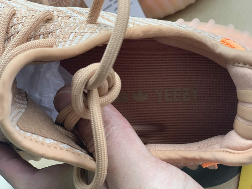 Adidas Yeezy Boost 350 V2 Clay 2019 For Sale Anpkick Release Date Eg7490 (11) - newkick.org
