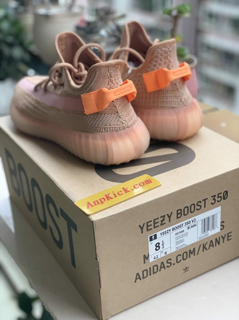 Adidas Yeezy Boost 350 V2 Clay 2019 For Sale Anpkick Release Date Eg7490 (2) - newkick.org