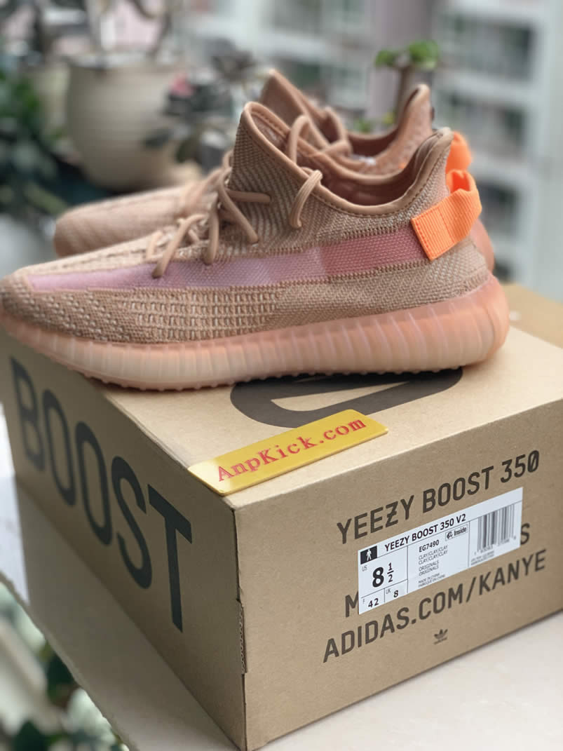 Adidas Yeezy Boost 350 V2 Clay 2019 For Sale Anpkick Release Date Eg7490 (3) - newkick.org