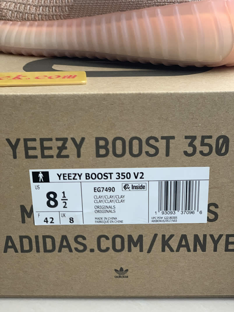 Adidas Yeezy Boost 350 V2 Clay 2019 For Sale Anpkick Release Date Eg7490 (4) - newkick.org