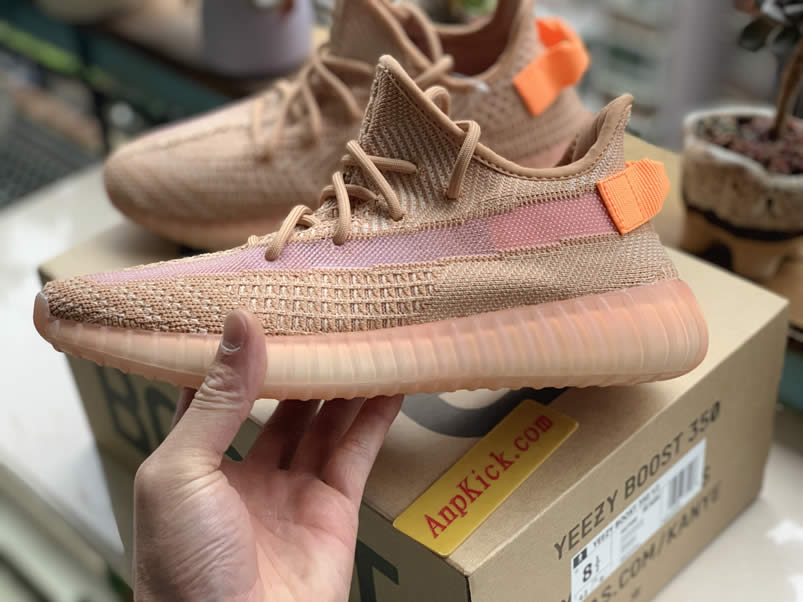 Adidas Yeezy Boost 350 V2 Clay 2019 For Sale Anpkick Release Date Eg7490 (6) - newkick.org
