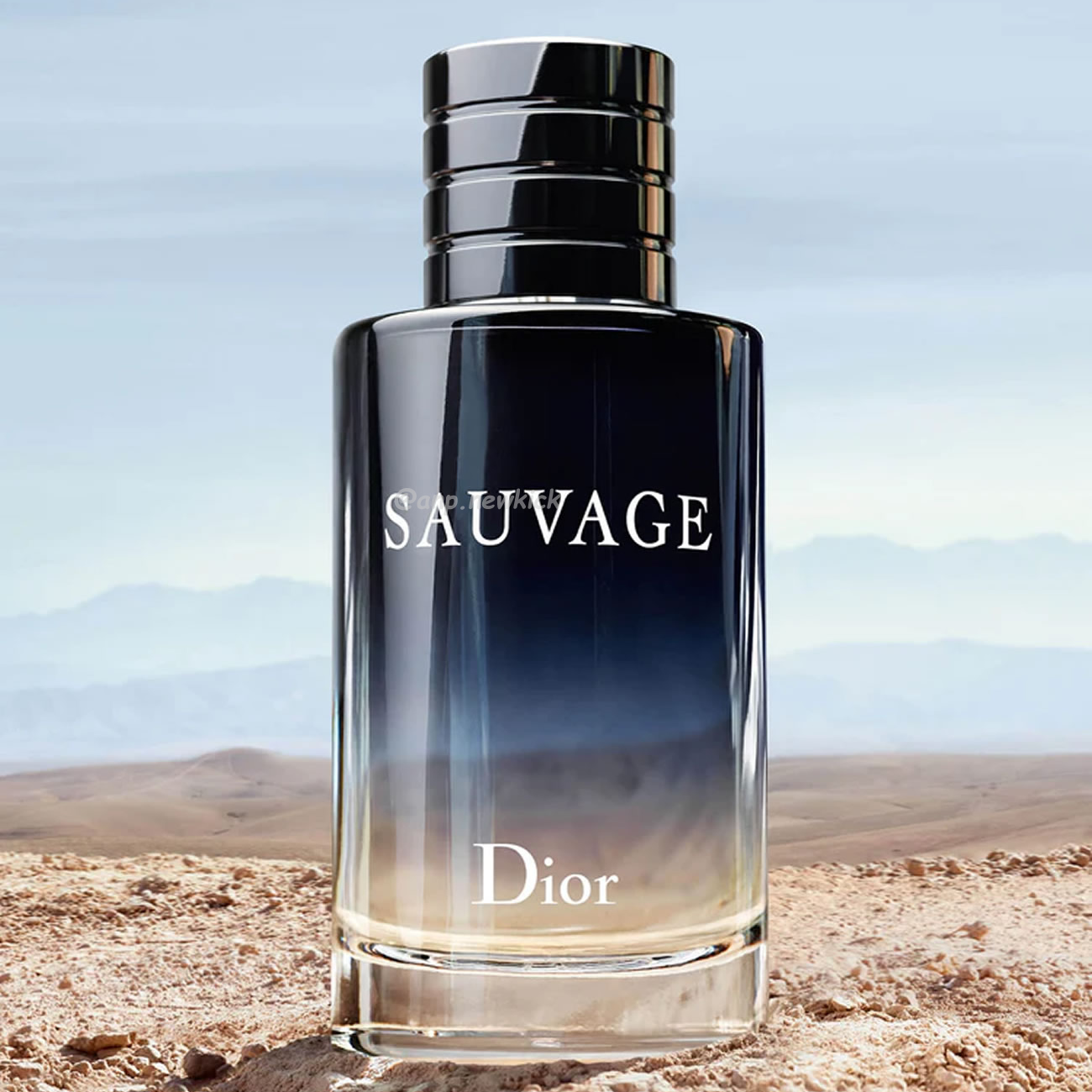 Dior Sauvage Edt 100ml (0) - newkick.org