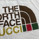 TheNorthFace-Gucci White 