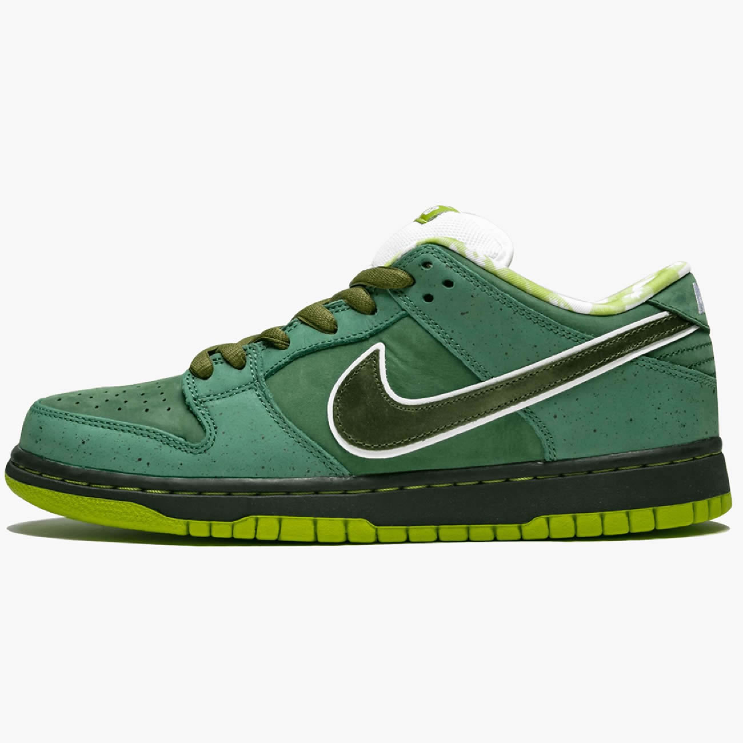 Nike SB Dunk Low Concepts 