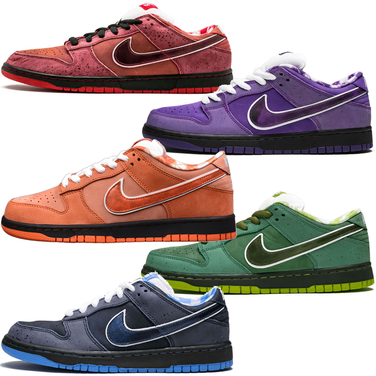 Nike SB Dunk Low Concepts "Blue Lobster/Green Lobster/Purple Lobster/Red Lobster"