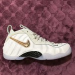 Nike Air Foamposite Pro All Star Quickstrike / Removable Swoosh AO0817-001