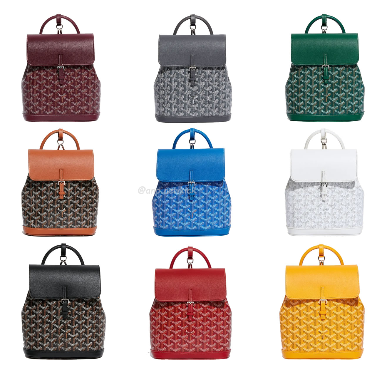 GOYARD Alpin Mini backpack